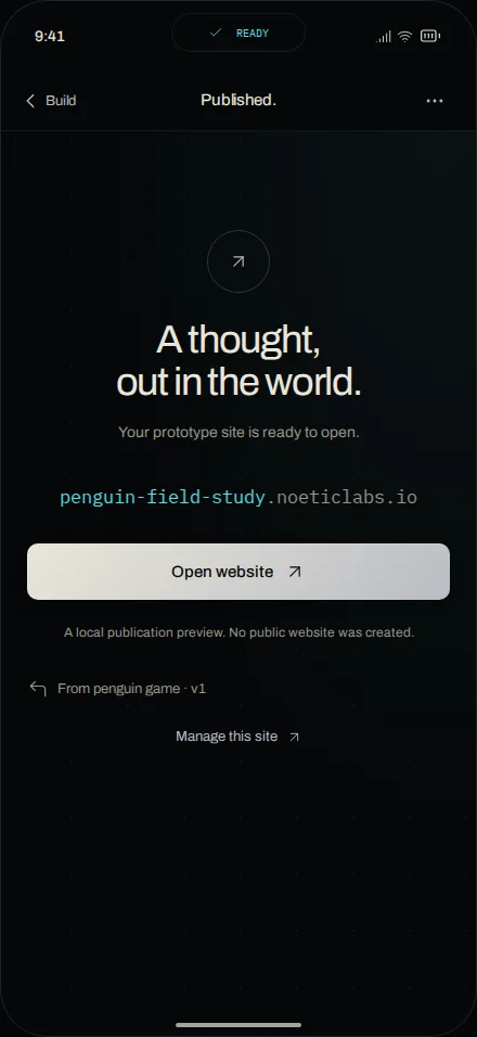 Ship: publishing to a subdomain with the full address shown.